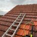 roof moss removal in Brussels