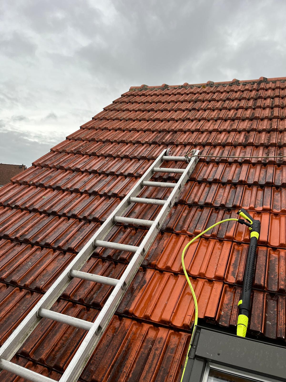 Roof Moss Removal in Brussels: How Often, How Much and Which Roofer to Trust?